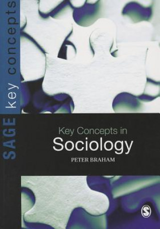 Könyv Key Concepts in Sociology Peter H Braham