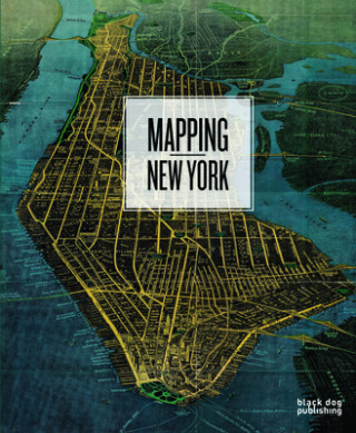 Kniha Mapping New York Robert Neuwirth