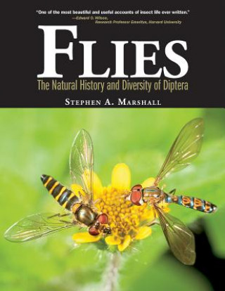Kniha Flies: The Natural History and Diversity of Diptera Stephen Marshall