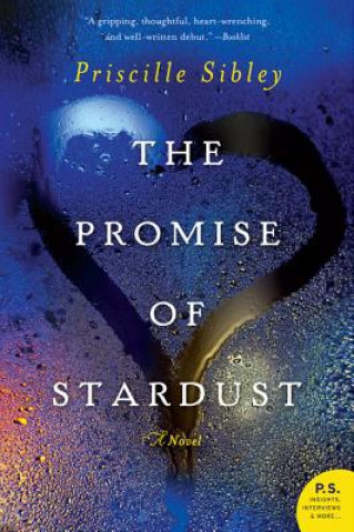 Kniha Promise of Stardust Priscille Sibley