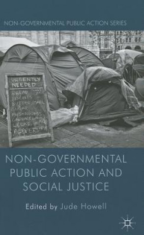 Kniha Non-Governmental Public Action and Social Justice Jude Howell