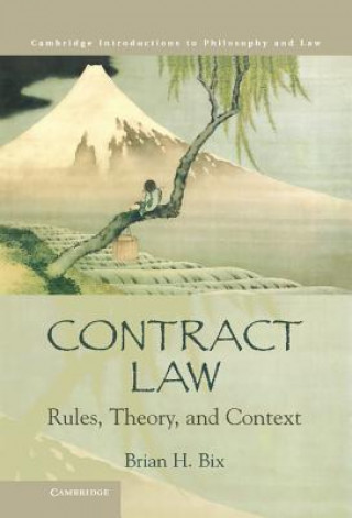 Kniha Contract Law Brian H Bix