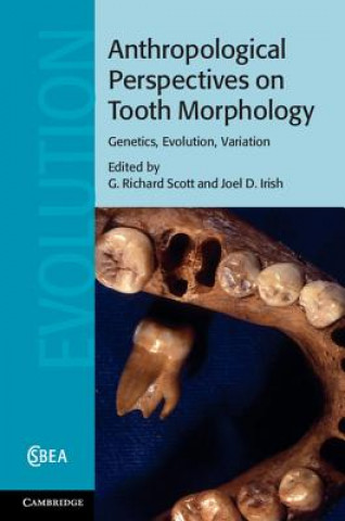 Könyv Anthropological Perspectives on Tooth Morphology G Richard Scott
