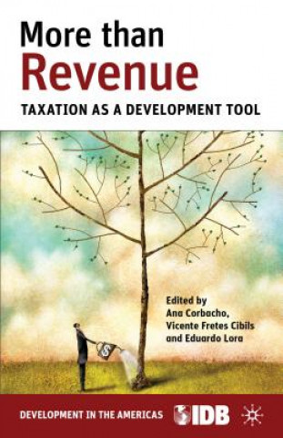 Kniha More than Revenue Inter-American Development Bank