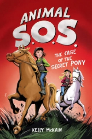 Βιβλίο Case of the Secret Pony Kelly McKain