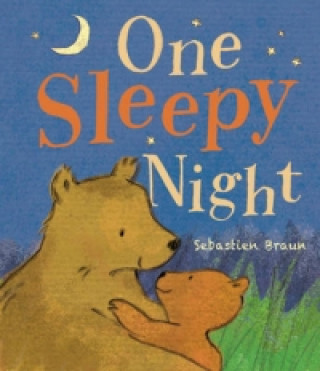 Kniha One Sleepy Night Sebastien Braun