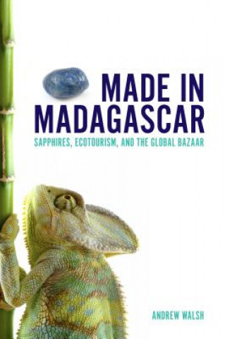 Kniha Made in Madagascar Andrew Walsh