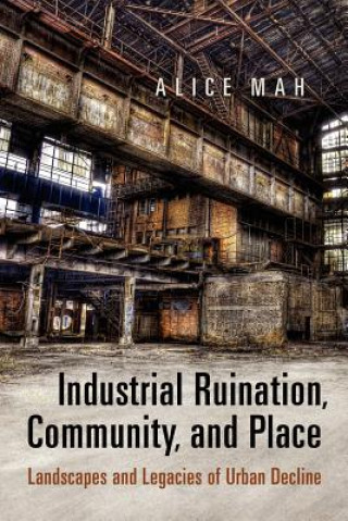 Книга Industrial Ruination, Community and Place Alice Mah