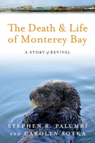Book Death and Life of Monterey Bay Stephen R Palumbi