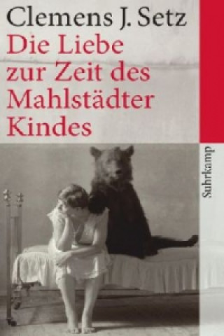 Kniha Die Liebe zur Zeit des Mahlstadter Kindes SETZ