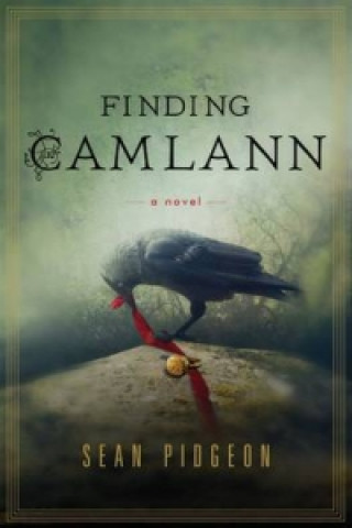 Kniha Finding Camlann Sean Pidgeon