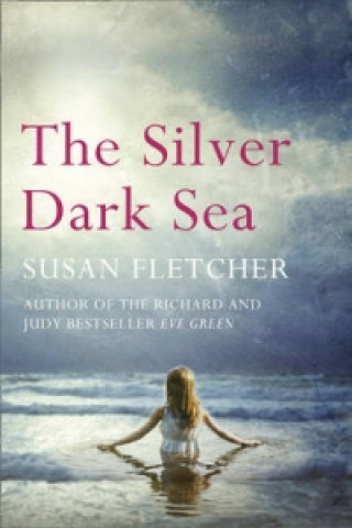 Kniha Silver Dark Sea Susan Fletcher