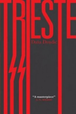 Książka Trieste Daša Drndić
