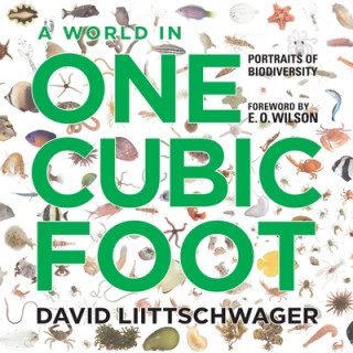 Könyv World in One Cubic Foot David Liitschwager