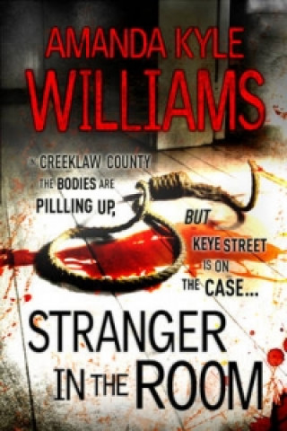 Könyv Stranger In The Room (Keye Street 2) Amanda Kyle Williams