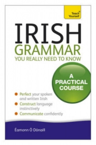 Könyv Irish Grammar You Really Need to Know: Teach Yourself Eammon O´Donaill