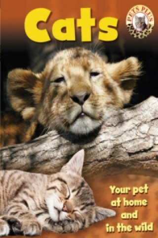 Carte Pets Plus: Cats Sally Morgan