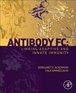 Kniha Antibody Fc Margaret Ackerman