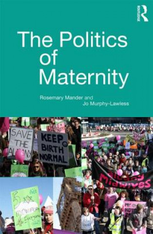 Kniha Politics of Maternity Rosemary Mander