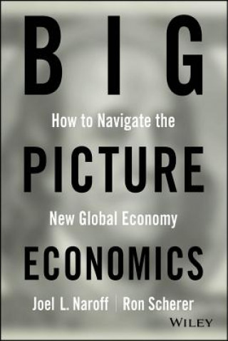 Könyv Big Picture Economics Joel Naroff
