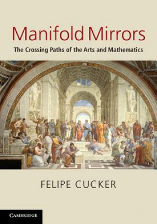 Книга Manifold Mirrors Felipe Cucker