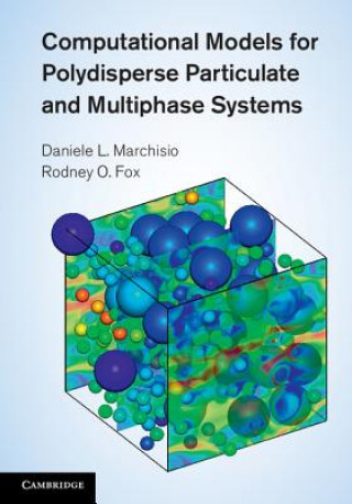 Kniha Computational Models for Polydisperse Particulate and Multiphase Systems Daniele L Marchisio