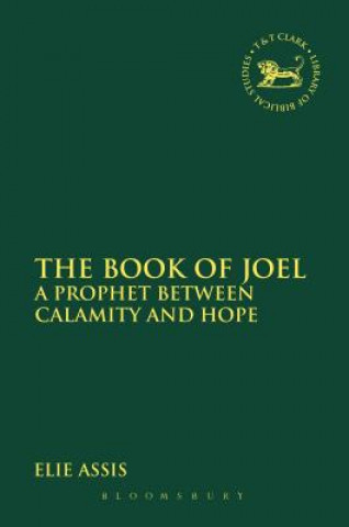 Книга Book of Joel Elie Assis