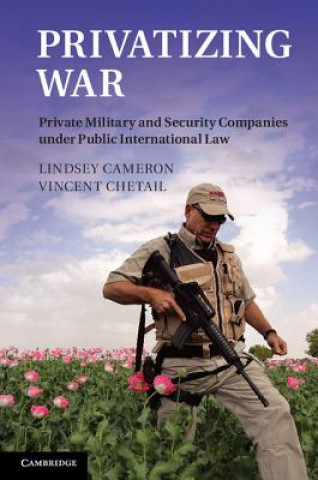 Buch Privatizing War Lindsey Cameron