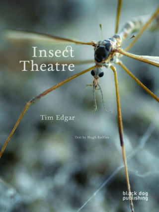 Kniha Insect Theatre Tim Edgar