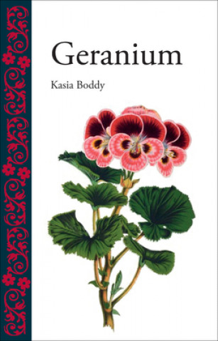 Könyv Geranium Kasia Boddy