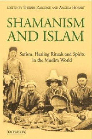 Buch Shamanism and Islam Thierry Zarcone