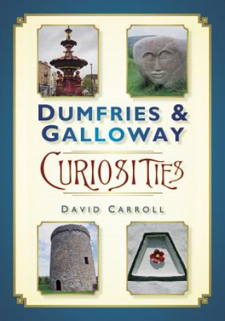 Könyv Dumfries and Galloway Curiosities David Carroll