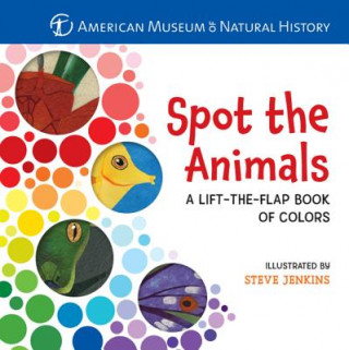 Kniha Spot the Animals Steve Jenkins
