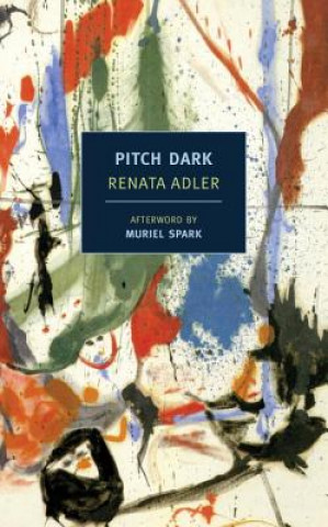 Kniha Pitch Dark Renata Adler