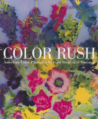 Kniha Color Rush Lisa Hostetler