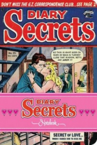 Knjiga Diary Secrets Notebook Ilex Press