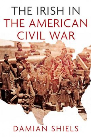 Книга Irish in the American Civil War Damian Shiels