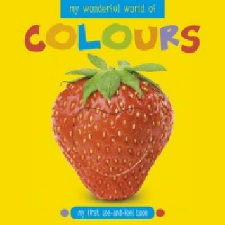 Kniha My Wonderful World of Colours Katie Cotton