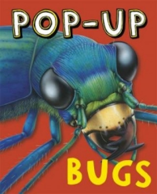 Carte Pop-Up Bugs Ruth Martin