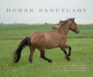 Carte Horse Sanctuary Alison Milionis