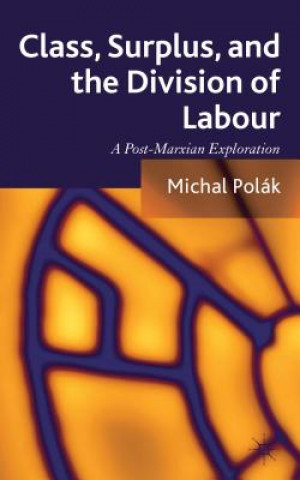 Könyv Class, Surplus, and the Division of Labour Michal Polák