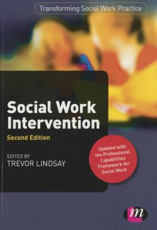 Könyv Social Work Intervention Anthony Goodman