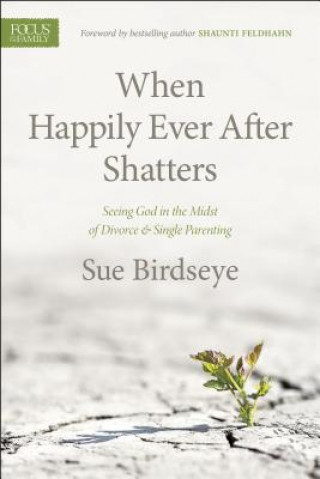 Książka When Happily Ever After Shatters Sue Birdseye