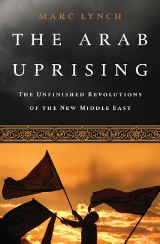 Buch Arab Uprising Marc Lynch