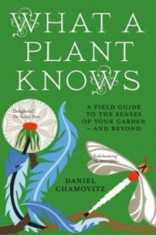 Könyv What a Plant Knows Daniel Chamovitz
