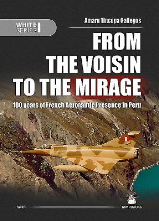 Livre From the Voisin to the Mirage Amaru Tincopa Gallegos