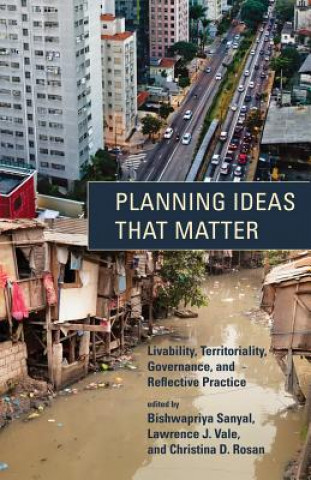 Kniha Planning Ideas That Matter Sanyal