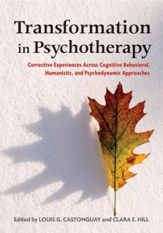 Könyv Transformation in Psychotherapy Louis G Castonguay