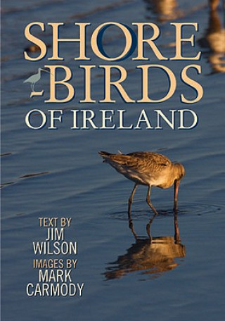 Carte Shorebirds of Ireland Jim Wilson