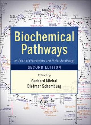Carte Biochemical Pathways Gerhard Michal